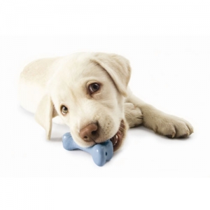 Big Pup Orbee Bone 플래넷도그 오르비 터프본 - Large (퍼피,이갈이용:생후1년이하/민트향) [색상 랜덤발송]